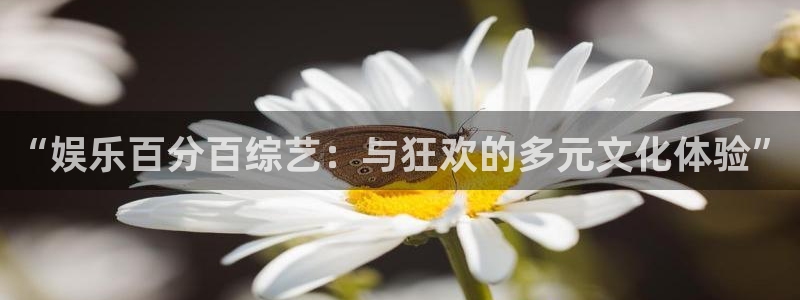 永信贵宾会官网：“娱乐百分百综艺：与狂欢的多元文化体验”