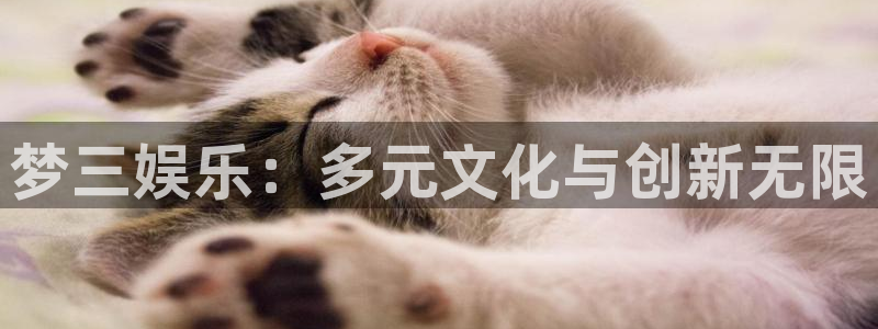 永信贵宾会最新地址：梦三娱乐：多元文化与创新无限