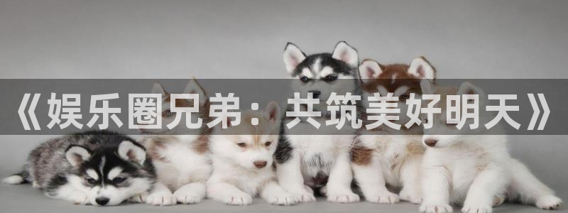 永信贵宾会最新地址：《娱乐圈兄弟：共筑美好明天》