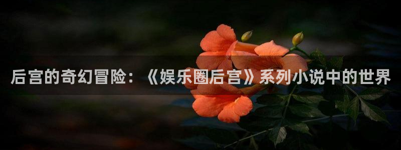 永信贵宾会大厅：后宫的奇幻冒险：《娱乐圈后宫》系列小说中的世界
