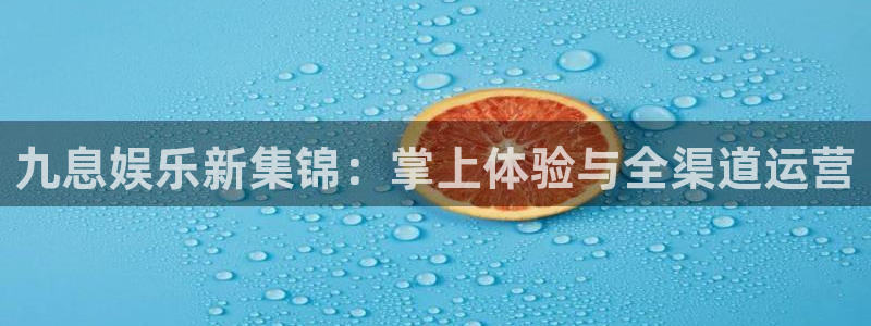 永信贵宾会大厅：九息娱乐新集锦：掌上体验与全渠道运营