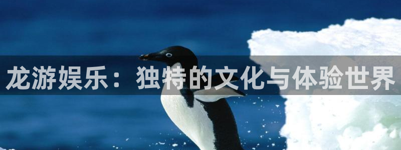 永信贵宾会优惠大厅：龙游娱乐：独特的文化与体验世界